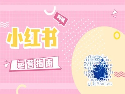 小红书运营指南，没有套路，全是经验-皮皮网创