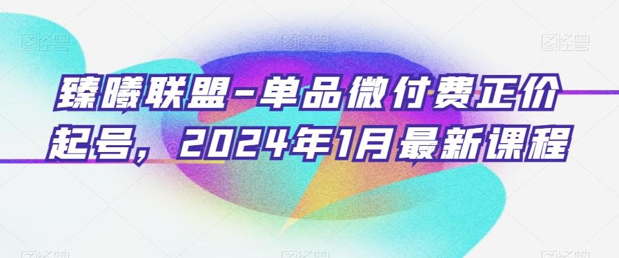 臻曦联盟-单品微付费正价起号，2024年1月最新课程-皮皮网创