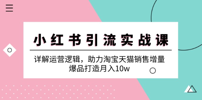 小红书引流实战课：详解运营逻辑，助力淘宝天猫销售增量，爆品打造月入10w-皮皮网创