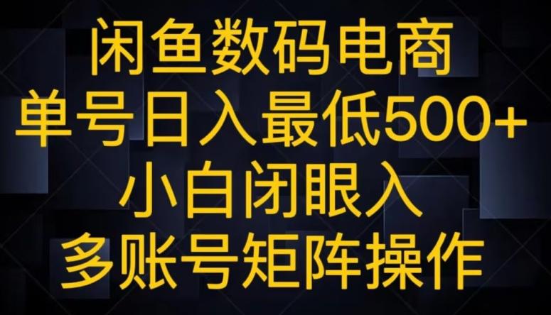 闲鱼数码电商，单号日入最低500+，小白闭眼入，多账号矩阵操作-皮皮网创