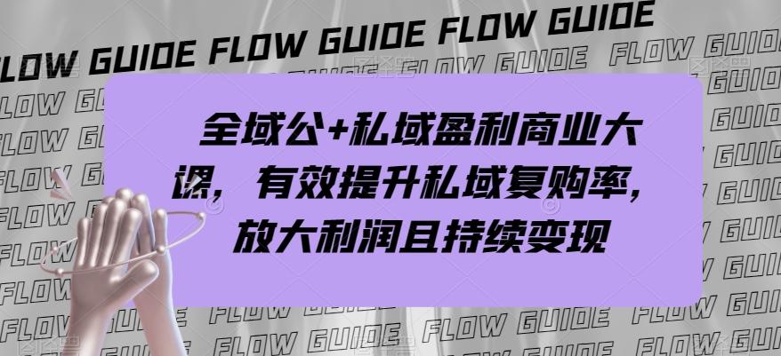 全域公+私域盈利商业大课，有效提升私域复购率，放大利润且持续变现-皮皮网创