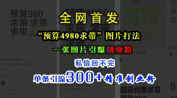小红书“预算4980带我飞”图片打法，一张图片引爆创业粉，私信回不完，单条引流300+精准创业粉-皮皮网创