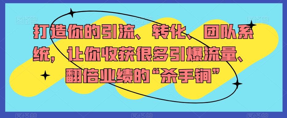打造你的引流、转化、团队系统，让你收获很多引爆流量、翻倍业绩的“杀手锏”-皮皮网创