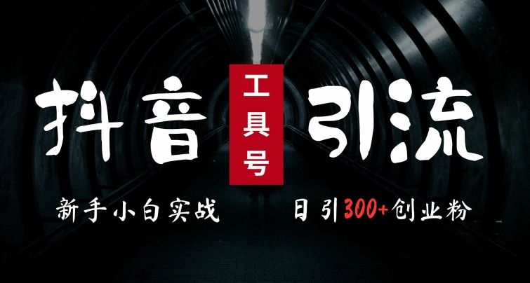 2024最新抖音工具号引流玩法，高效日引300+创业粉，当天变现5k，小白也可成为实战高手-皮皮网创