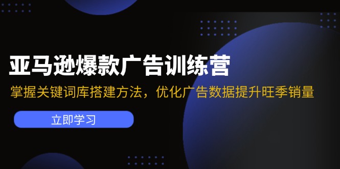 亚马逊爆款广告训练营：掌握关键词库搭建方法，优化广告数据提升旺季销量-皮皮网创