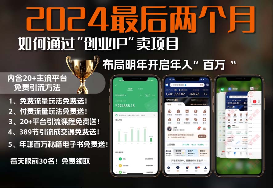 2024最后两个月如何通过”创业IP“卖项目年入”百万“,创业IP+最强引流…-皮皮网创