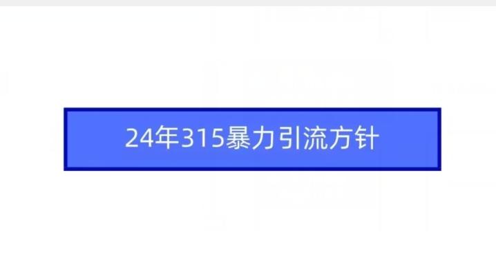 24年315暴力引流方针-皮皮网创