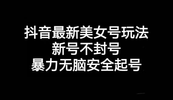 抖音最新美女号玩法，新号不封号，暴力无脑安全起号【揭秘】-皮皮网创