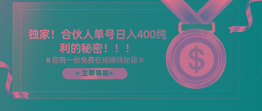 (10028期)合伙人广告撸金最新玩法，每天单号400纯利-皮皮网创