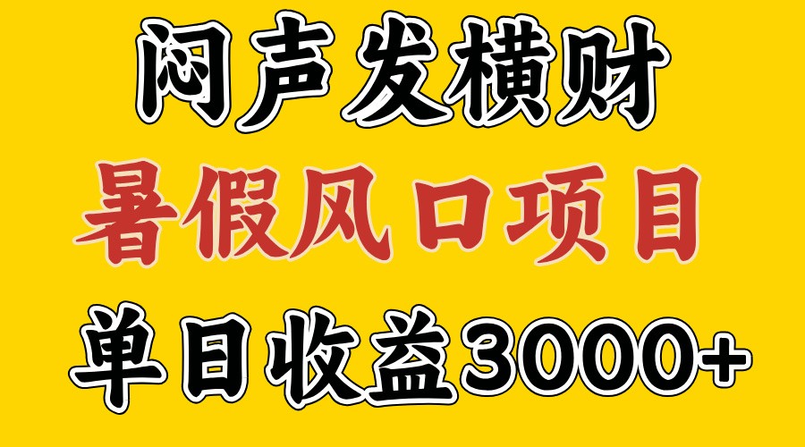 30天赚了7.5W 暑假风口项目，比较好学，2天左右上手-皮皮网创