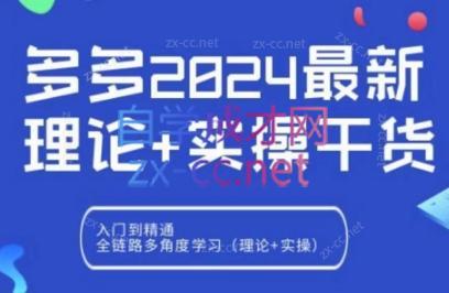 拼多多2024最新规则理论结合实际的干货-皮皮网创