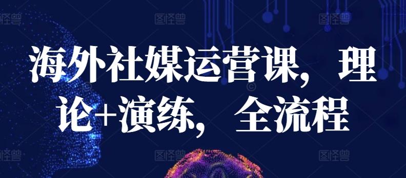 海外社媒运营课，理论+演练，全流程-皮皮网创