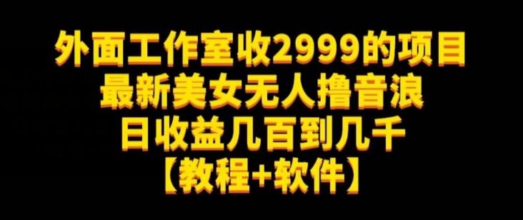 外面工作室收2999的项目最新美女无人撸音浪日收益几百到几千【教程+软件】（仅揭秘）-皮皮网创