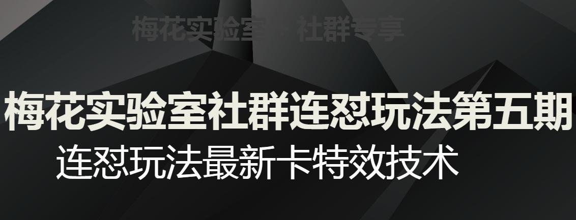 梅花实验室社群连怼玩法第五期，视频号连怼玩法最新卡特效技术-皮皮网创