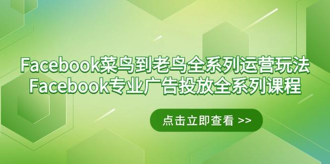 Facebook-菜鸟到老鸟全系列运营玩法+Facebook-专业广告投放全系列课程-皮皮网创