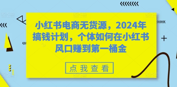 小红书电商无货源，2024年搞钱计划，个体如何在小红书风口赚到第一桶金-皮皮网创