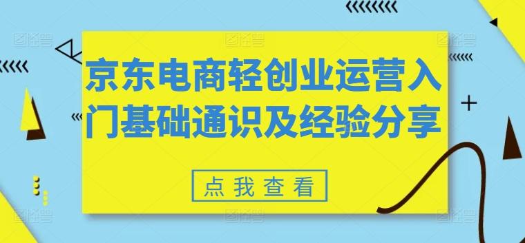 京东电商轻创业运营入门基础通识及经验分享-皮皮网创