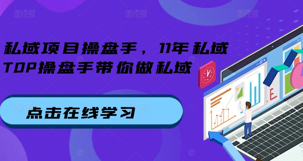 私域项目操盘手，11年私域TOP操盘手带你做私域-皮皮网创