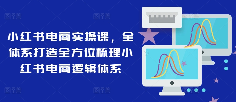 小红书电商实操课，全体系打造全方位梳理小红书电商逻辑体系-皮皮网创