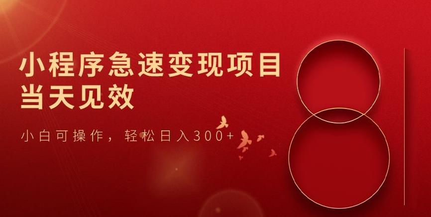 小程序急速变现项目，当天见效，小白可操作，轻松日入300+-皮皮网创