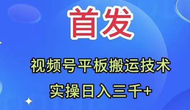全网首发：视频号平板搬运技术，实操日入三千＋-皮皮网创