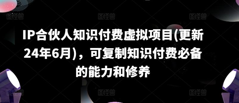 IP合伙人知识付费虚拟项目(更新24年6月)，可复制知识付费必备的能力和修养-皮皮网创
