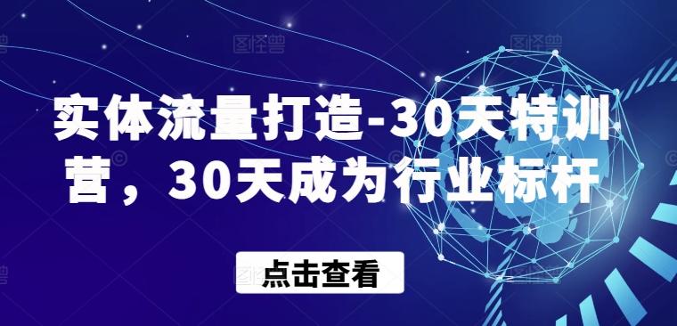 实体流量打造-30天特训营，30天成为行业标杆-皮皮网创