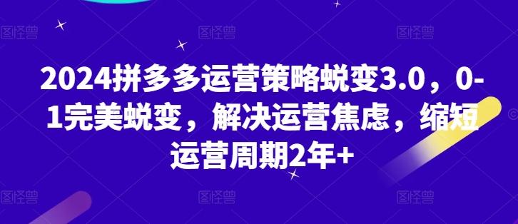 2024拼多多运营策略蜕变3.0，0-1完美蜕变，解决运营焦虑，缩短运营周期2年+-皮皮网创