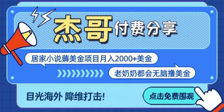 拆解海外撸美金项目月入2000美刀详细指导-皮皮网创