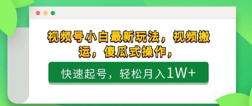 视频号小白最新玩法，视频搬运，傻瓜式操作，快速起号，轻松月入1W+-皮皮网创
