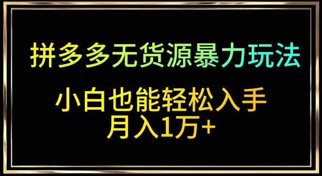 拼多多无货源暴力玩法，全程干货，小白也能轻松入手，月入1万+【揭秘】-皮皮网创