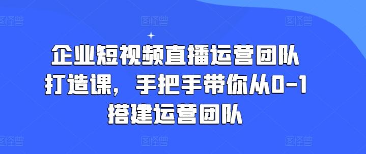 企业短视频直播运营团队打造课，手把手带你从0-1搭建运营团队-皮皮网创