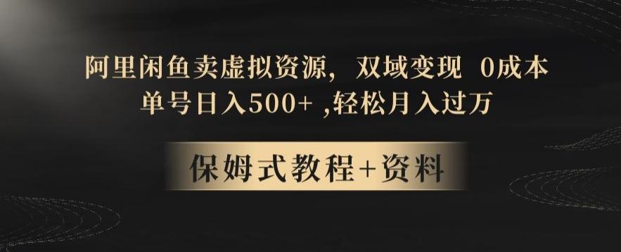阿里闲鱼卖虚拟资源，双域变现，0成本，日入500+，轻松月入过万-皮皮网创