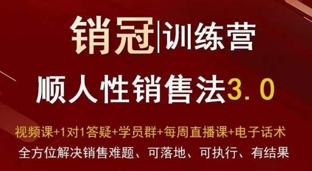 爆款！销冠训练营3.0之顺人性销售法，全方位解决销售难题、可落地、可执行、有结果-皮皮网创