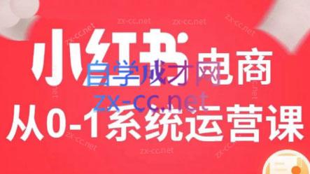 徐徐kena·小红书短视频带货实战-皮皮网创