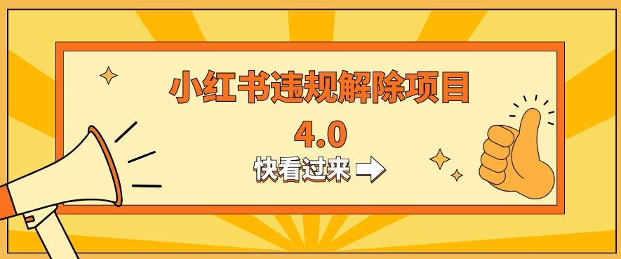 小红书违规掘金蓝海项目，日入800+（附带引流办法及解除办法）-皮皮网创