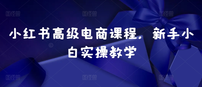 小红书高级电商课程，新手小白实操教学-皮皮网创