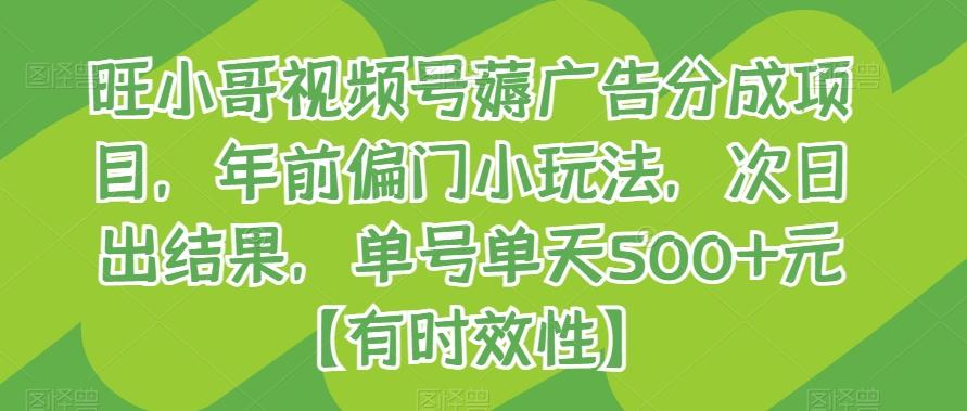 旺小哥视频号薅广告分成项目，年前偏门小玩法，次日出结果，单号单天500+元【有时效性】-皮皮网创