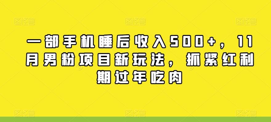 一部手机睡后收入500+，11月男粉项目新玩法，抓紧红利期过年吃肉-皮皮网创