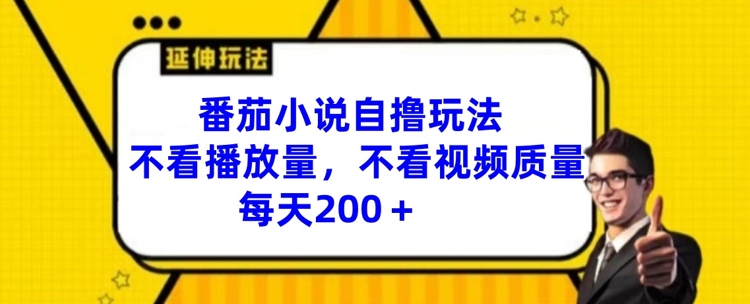 番茄小说自撸玩法，不看播放量，不看视频质量，每天200+【揭秘】-皮皮网创