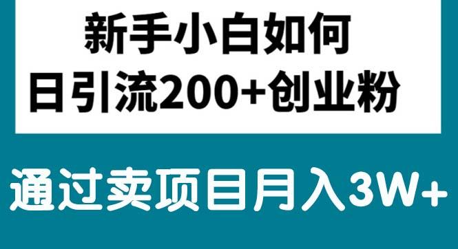 新手小白日引流200+创业粉,通过卖项目月入3W+-皮皮网创