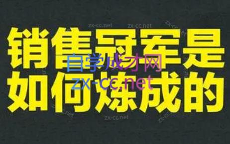 林林老师·成为外贸销售冠军课-皮皮网创