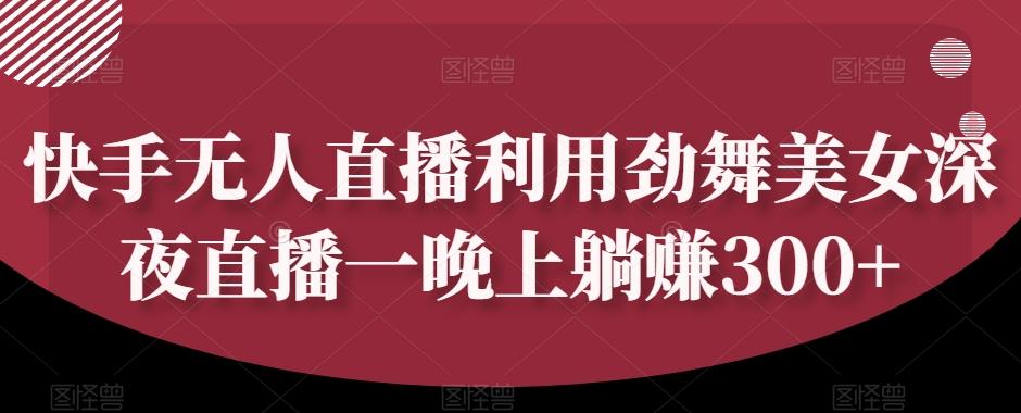 快手无人直播利用劲舞美女深夜直播一晚上躺赚300+-皮皮网创