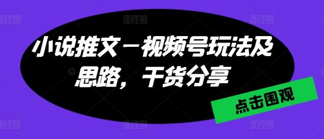 小说推文—视频号玩法及思路，干货分享-皮皮网创