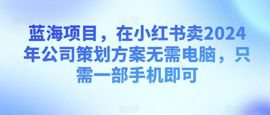 蓝海项目，在小红书卖2024年公司策划方案无需电脑，只需一部手机即可-皮皮网创