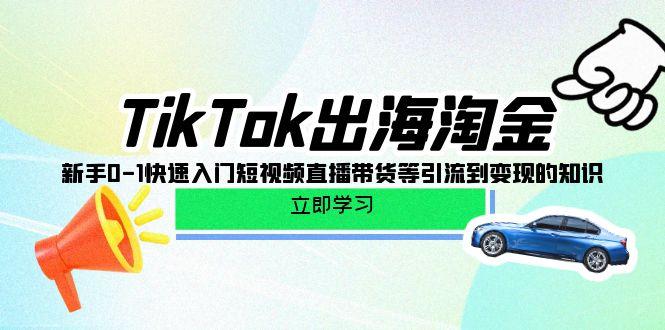 (10035期)TikTok-出海淘金，新手0-1快速入门短视频直播带货等引流到变现的知识-皮皮网创