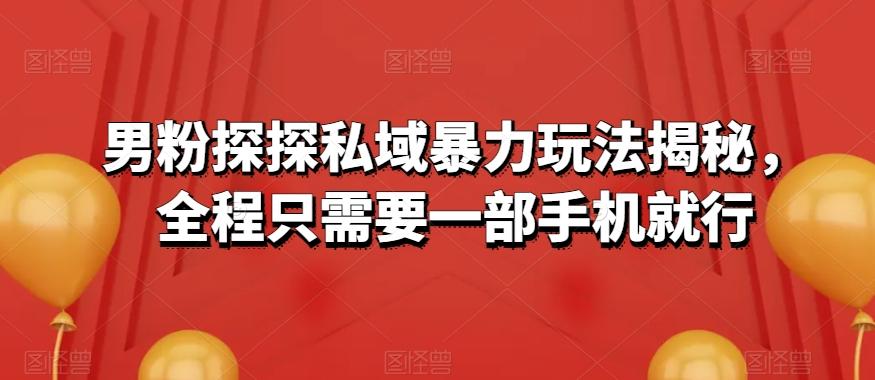 男粉探探私域暴力玩法揭秘，全程只需要一部手机就行-皮皮网创