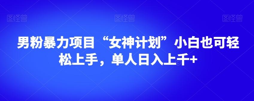 男粉暴力项目“女神计划”小白也可轻松上手，单人日入上千+【揭秘】-皮皮网创