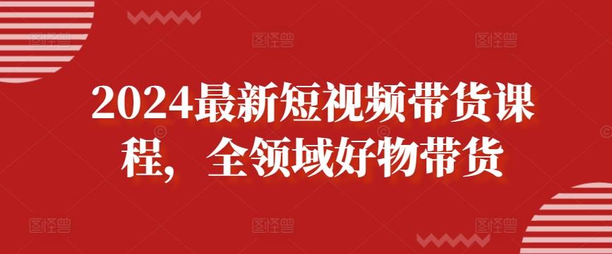 2024最新短视频带货课程，全领域好物带货-皮皮网创