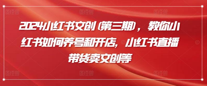 2024小红书文创(第三期)，教你小红书如何养号和开店，小红书直播带货卖文创等-皮皮网创